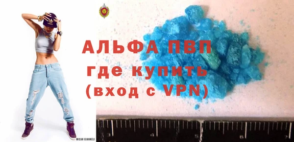 индика Белокуриха