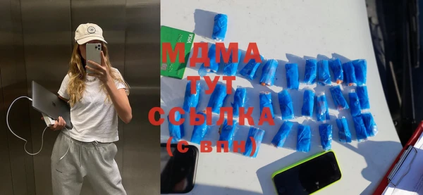 индика Белокуриха