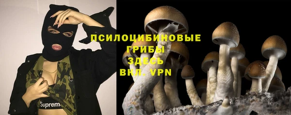 индика Белокуриха
