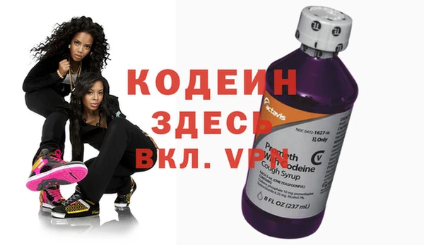 индика Белокуриха