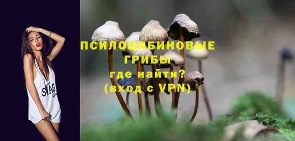 Альфа ПВП Беломорск