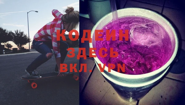 индика Белокуриха