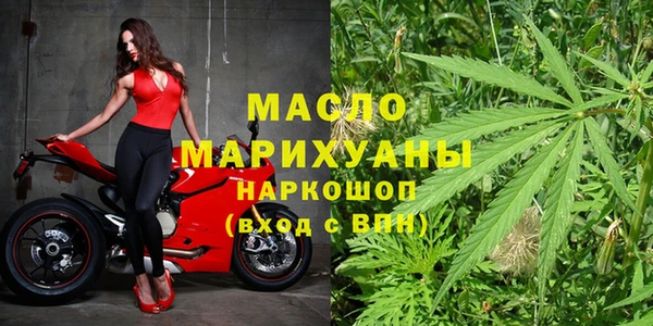 индика Белокуриха