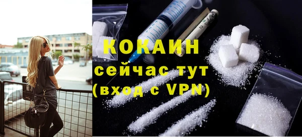 индика Белокуриха