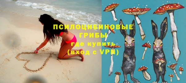 стаф Белоозёрский