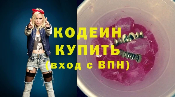 индика Белокуриха