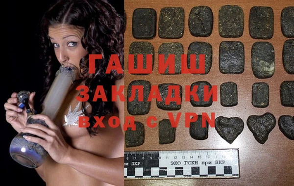 индика Белокуриха